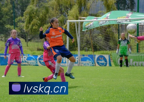 巴西世界杯半决赛阵容分析：球星表现如何影响比赛走向？